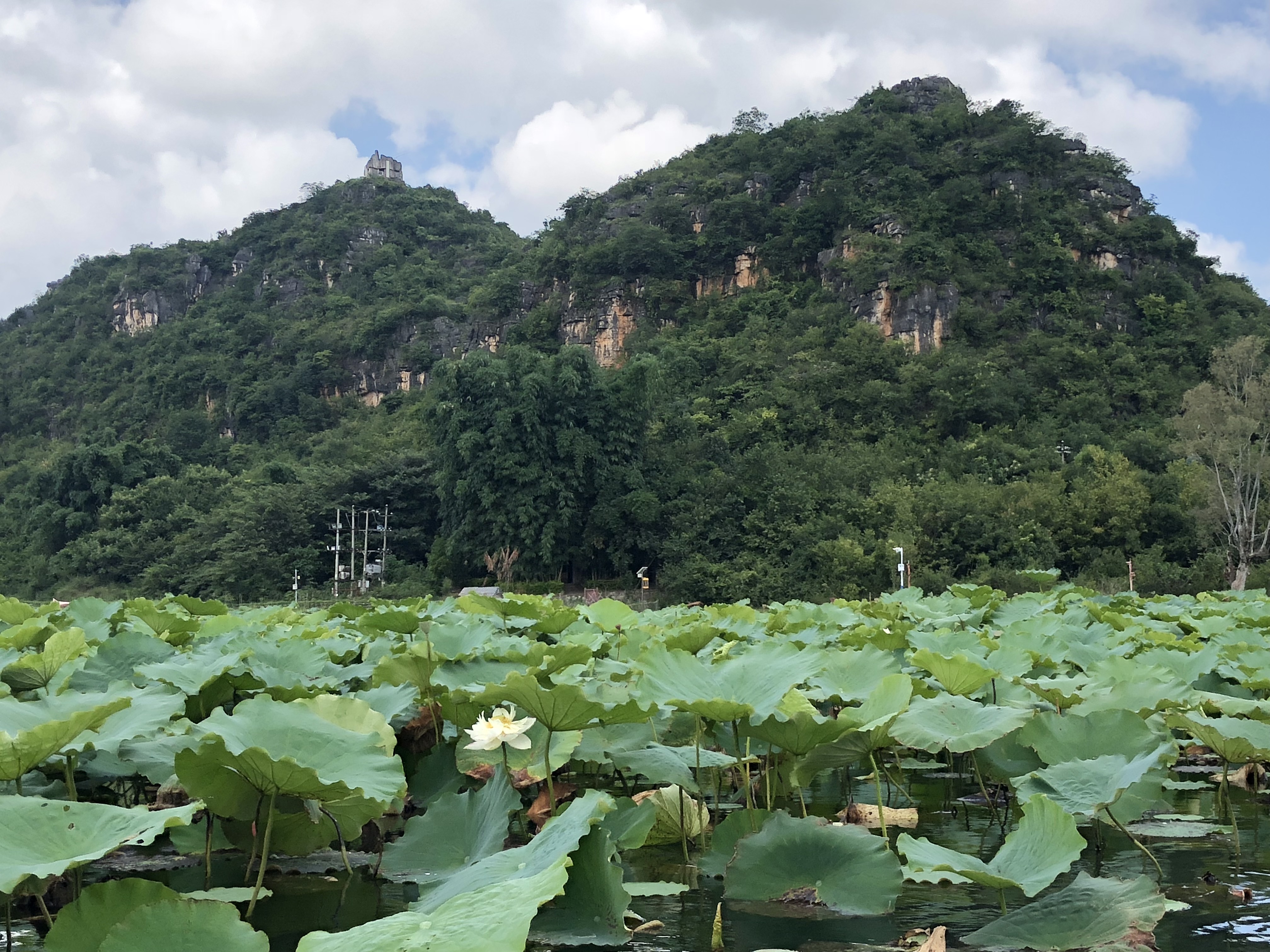  潍坊租车流程及注意事项